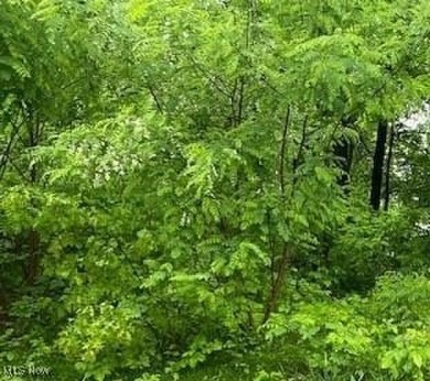 Come build you lake dreams here in the quaint village of Craig on Olde Dutch Mill Golf Course in Ohio - for sale on GolfHomes.com, golf home, golf lot