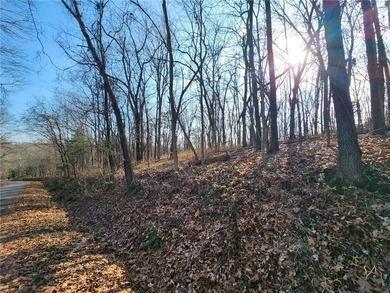 Beautiful lot, located near Lake Windsor with Tweety Bird & on Bella Vista Country Club - Berksdale in Arkansas - for sale on GolfHomes.com, golf home, golf lot