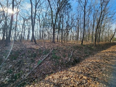 Beautiful lot, located near Lake Windsor with Tweety Bird & on Bella Vista Country Club - Berksdale in Arkansas - for sale on GolfHomes.com, golf home, golf lot