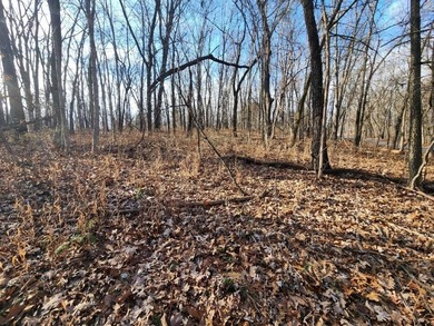 Beautiful lot, located near Lake Windsor with Tweety Bird & on Bella Vista Country Club - Berksdale in Arkansas - for sale on GolfHomes.com, golf home, golf lot