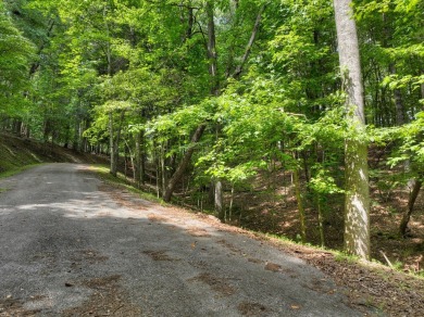 Ready to build your dream mountain home? Discover this 2.70 ACRE on White Path Golf Club in Georgia - for sale on GolfHomes.com, golf home, golf lot