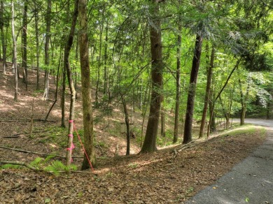 Ready to build your dream mountain home? Discover this 2.70 ACRE on White Path Golf Club in Georgia - for sale on GolfHomes.com, golf home, golf lot