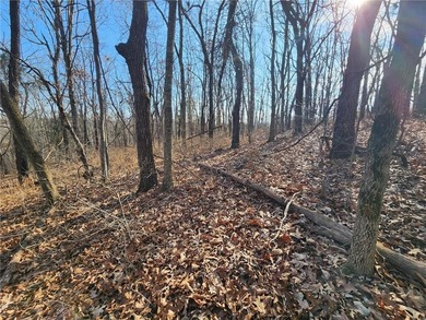 Beautiful lot, located near Lake Windsor with Tweety Bird & on Bella Vista Country Club - Berksdale in Arkansas - for sale on GolfHomes.com, golf home, golf lot