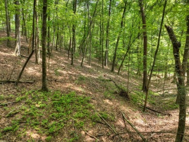 Ready to build your dream mountain home? Discover this 2.70 ACRE on White Path Golf Club in Georgia - for sale on GolfHomes.com, golf home, golf lot