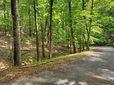 Ready to build your dream mountain home? Discover this 2.70 ACRE on White Path Golf Club in Georgia - for sale on GolfHomes.com, golf home, golf lot