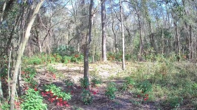 This Vacant Land is ready for your dream home or investment! on El Diablo Golf and Country Club in Florida - for sale on GolfHomes.com, golf home, golf lot