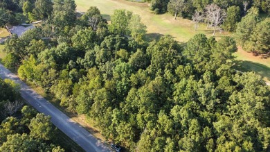 308 - 310 Airpark Road - Where Luxury Meet the Green! Welcome to on The Course At Turkey Mountain in Arkansas - for sale on GolfHomes.com, golf home, golf lot