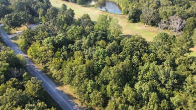 308 - 310 Airpark Road - Where Luxury Meet the Green! Welcome to on The Course At Turkey Mountain in Arkansas - for sale on GolfHomes.com, golf home, golf lot