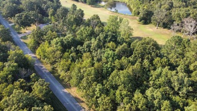 308 - 310 Airpark Road - Where Luxury Meet the Green! Welcome to on The Course At Turkey Mountain in Arkansas - for sale on GolfHomes.com, golf home, golf lot