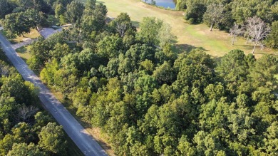 308 - 310 Airpark Road - Where Luxury Meet the Green! Welcome to on The Course At Turkey Mountain in Arkansas - for sale on GolfHomes.com, golf home, golf lot