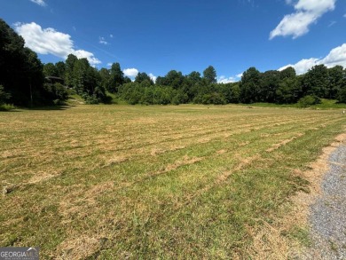 Gentle laying 3.4 acres in Young Harrs with Year-Round Mountain on Brasstown Valley Resort and Spa in Georgia - for sale on GolfHomes.com, golf home, golf lot