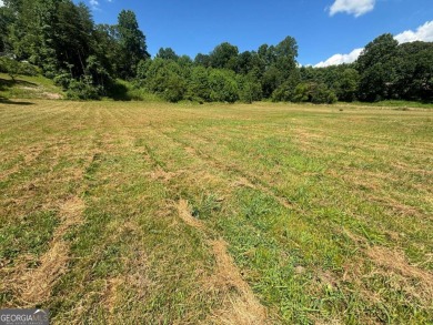 Gentle laying 3.4 acres in Young Harrs with Year-Round Mountain on Brasstown Valley Resort and Spa in Georgia - for sale on GolfHomes.com, golf home, golf lot