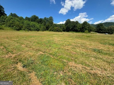 Gentle laying 3.4 acres in Young Harrs with Year-Round Mountain on Brasstown Valley Resort and Spa in Georgia - for sale on GolfHomes.com, golf home, golf lot