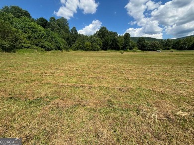 Gentle laying 3.4 acres in Young Harrs with Year-Round Mountain on Brasstown Valley Resort and Spa in Georgia - for sale on GolfHomes.com, golf home, golf lot