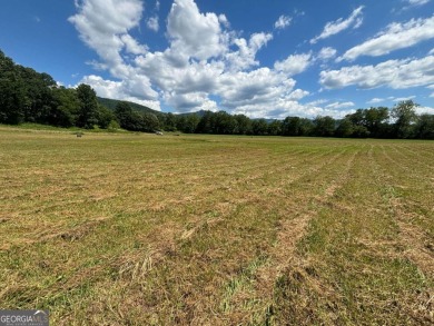 Gentle laying 3.4 acres in Young Harrs with Year-Round Mountain on Brasstown Valley Resort and Spa in Georgia - for sale on GolfHomes.com, golf home, golf lot