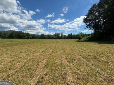 Gentle laying 3.4 acres in Young Harrs with Year-Round Mountain on Brasstown Valley Resort and Spa in Georgia - for sale on GolfHomes.com, golf home, golf lot