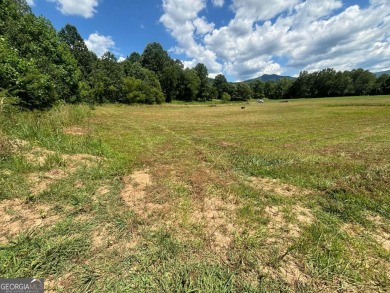 Gentle laying 3.4 acres in Young Harrs with Year-Round Mountain on Brasstown Valley Resort and Spa in Georgia - for sale on GolfHomes.com, golf home, golf lot