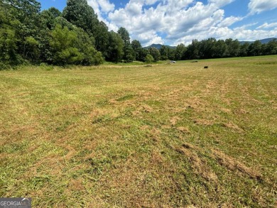 Gentle laying 3.4 acres in Young Harrs with Year-Round Mountain on Brasstown Valley Resort and Spa in Georgia - for sale on GolfHomes.com, golf home, golf lot