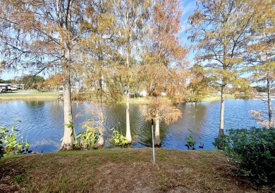 You cannot miss this, the price is UNBELIEVABLE for a lakefront on Lakes at Leesburg Golf Course in Florida - for sale on GolfHomes.com, golf home, golf lot