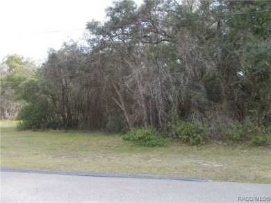 SUPER WOODED BUILDING LOT LOCATED IN THE FOX RUN SECTION OF THE on Citrus Hills Golf Club in Florida - for sale on GolfHomes.com, golf home, golf lot