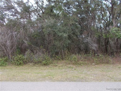 SUPER WOODED BUILDING LOT LOCATED IN THE FOX RUN SECTION OF THE on Citrus Hills Golf Club in Florida - for sale on GolfHomes.com, golf home, golf lot