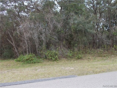 SUPER WOODED BUILDING LOT LOCATED IN THE FOX RUN SECTION OF THE on Citrus Hills Golf Club in Florida - for sale on GolfHomes.com, golf home, golf lot