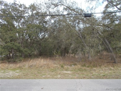 SUPER WOODED BUILDING LOT LOCATED IN THE FOX RUN SECTION OF THE on Citrus Hills Golf Club in Florida - for sale on GolfHomes.com, golf home, golf lot