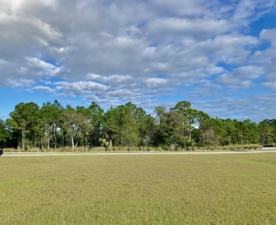 Water to golf green views are your from this idyllic homesite on The Tesoro Golf Course and Club in Florida - for sale on GolfHomes.com, golf home, golf lot