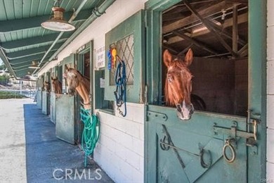 You will fall in LOVE with this stunning Home! This stylish home on Leisure Village Par 3 Golf Course in California - for sale on GolfHomes.com, golf home, golf lot