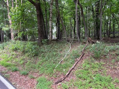 Come build your new home on this beautiful and quiet nearly one on Bent Tree Golf Course in Georgia - for sale on GolfHomes.com, golf home, golf lot