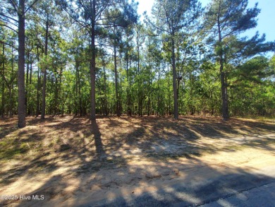 Discover the perfect opportunity to build your custom dream home on Deercroft Golf and Country Club in North Carolina - for sale on GolfHomes.com, golf home, golf lot