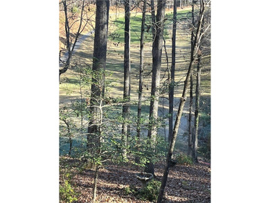 Welcome to the gated community of Keowee Key. Enjoy the 4 on Keowee Key Golf and Country Club in South Carolina - for sale on GolfHomes.com, golf home, golf lot