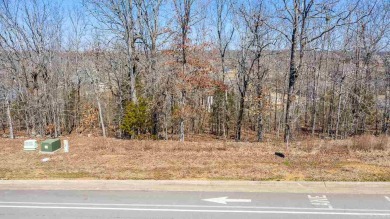 Incredible lot with the best view in Greystone! Build the home on Greystone Country Club in Arkansas - for sale on GolfHomes.com, golf home, golf lot