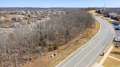 Incredible lot with the best view in Greystone! Build the home on Greystone Country Club in Arkansas - for sale on GolfHomes.com, golf home, golf lot