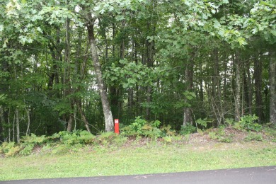 Lot 26, 2 Acres Located in Pipestem Pointe - Pipestem Pointe is on Pipestem Golf Club - Regulation in West Virginia - for sale on GolfHomes.com, golf home, golf lot