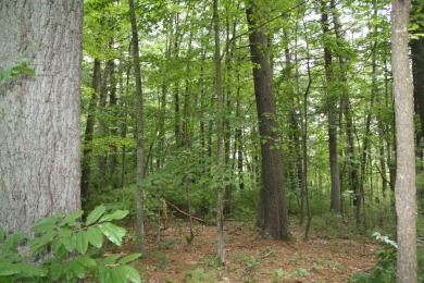 Lot 27, 2.03 Acres Located in Pipestem Pointe - Pipestem Pointe on Pipestem Golf Club - Regulation in West Virginia - for sale on GolfHomes.com, golf home, golf lot