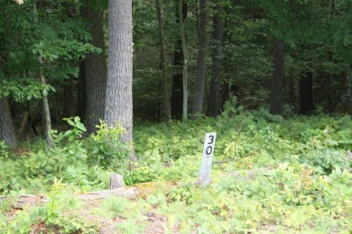 Lots 30, 31 and 32, total of 8.74 Acres Located in Pipestem on Pipestem Golf Club - Regulation in West Virginia - for sale on GolfHomes.com, golf home, golf lot