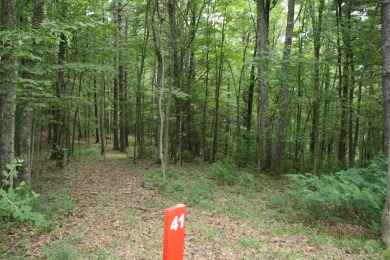 Lot 41, 2.39 Acres Located in Pipestem Pointe - Pipestem pointe on Pipestem Golf Club - Regulation in West Virginia - for sale on GolfHomes.com, golf home, golf lot