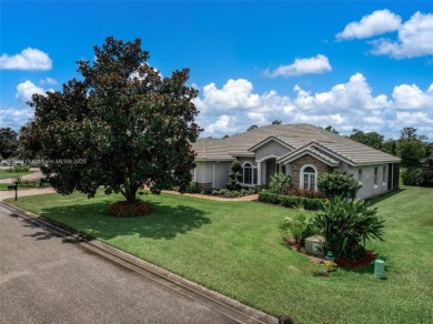 In sought-after Magnolia Place at Sun N' Lakes, this home offers on Sun n Lake Golf and Country Club in Florida - for sale on GolfHomes.com, golf home, golf lot