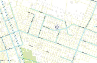 Tucked beneath the canopy of Southport's iconic old-growth oak on The Lakes Country Club in North Carolina - for sale on GolfHomes.com, golf home, golf lot