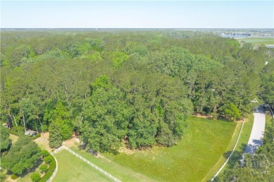 Build your dream home on one of the most desirable homesites on The Ford Field and River Club  in Georgia - for sale on GolfHomes.com, golf home, golf lot