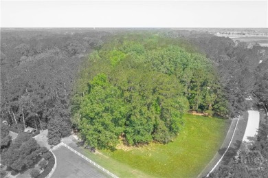 Build your dream home on one of the most desirable homesites on The Ford Field and River Club  in Georgia - for sale on GolfHomes.com, golf home, golf lot