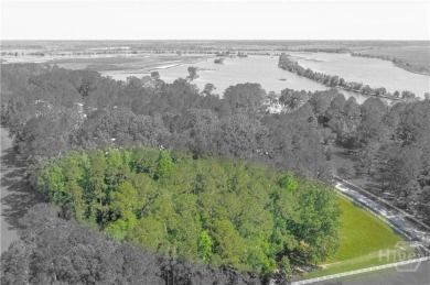 Build your dream home on one of the most desirable homesites on The Ford Field and River Club  in Georgia - for sale on GolfHomes.com, golf home, golf lot
