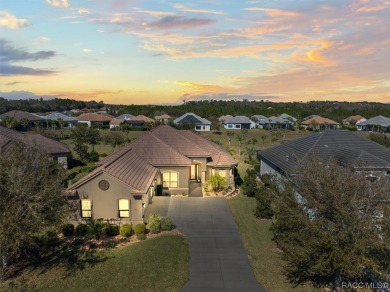 Looking for elegance paired with functionality and design? Look on Skyview At Terra Vista Golf and Country Club in Florida - for sale on GolfHomes.com, golf home, golf lot