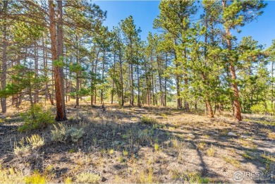 Don't Miss this OPPORTUNITY! Lot 8 is a PREMIER LOT within the on Fox Acres Country Club in Colorado - for sale on GolfHomes.com, golf home, golf lot