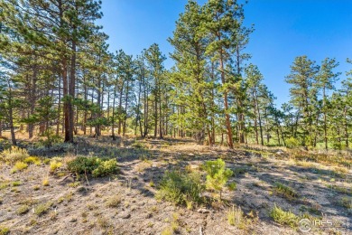Don't Miss this OPPORTUNITY! Lot 8 is a PREMIER LOT within the on Fox Acres Country Club in Colorado - for sale on GolfHomes.com, golf home, golf lot