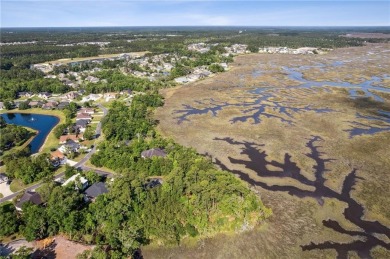 Stunning marsh front lot with water views located in the Laurel on Laurel Island Links in Georgia - for sale on GolfHomes.com, golf home, golf lot