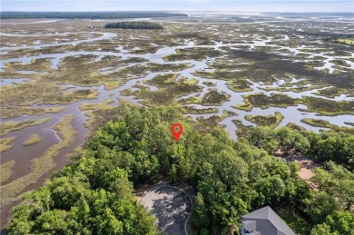 Stunning marsh front lot with water views located in the Laurel on Laurel Island Links in Georgia - for sale on GolfHomes.com, golf home, golf lot