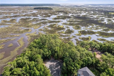 Stunning marsh front lot with water views located in the Laurel on Laurel Island Links in Georgia - for sale on GolfHomes.com, golf home, golf lot