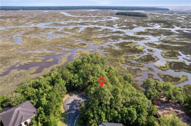 Stunning marsh front lot with water views located in the Laurel on Laurel Island Links in Georgia - for sale on GolfHomes.com, golf home, golf lot